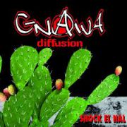 Gnawa Diffusion Algeria