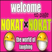 Nokat 2011